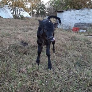 Meet your Posher, Aubrey